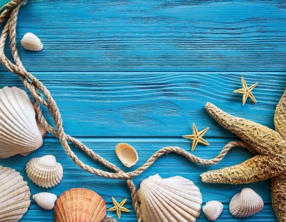 Frame of rope, seashells and starfishes is lying on a wooden textured blue background, AI generated