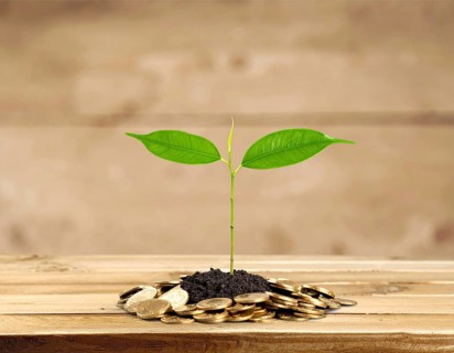 Coins with seedling eco saving concept image symbolizing financial growth, sustainable development,