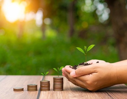 Coins with seedling eco saving concept image symbolizing financial growth, sustainable development,