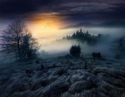 Mysterious dark misty forest dark magical forest night scary panorama halloween landscape, AI