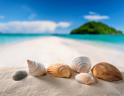 Composition with beach water, sand, starfish and seashells. Summer vacations concept, AI generated