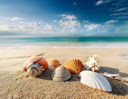 Composition with beach water, sand, starfish and seashells. Summer vacations concept, AI generated