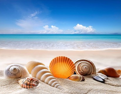 Composition with beach water, sand, starfish and seashells. Summer vacations concept, AI generated