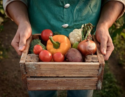 Man holding wooden crate with vegetables. Wooden box filled with fresh food products and ready for