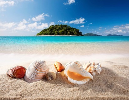 Composition with beach water, sand, starfish and seashells. Summer vacations concept, AI generated