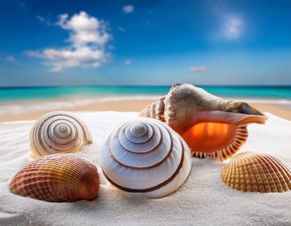 Composition with beach water, sand, starfish and seashells. Summer vacations concept, AI generated