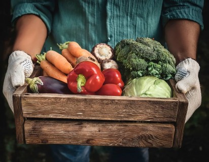 Man holding wooden crate with vegetables. Wooden box filled with fresh food products and ready for