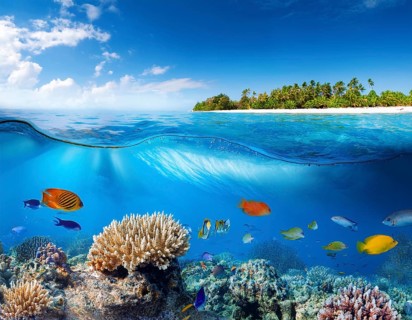 Scuba diver diving over coral tropical reef, with colorful sea fish beautiful ocean ecosystem, AI