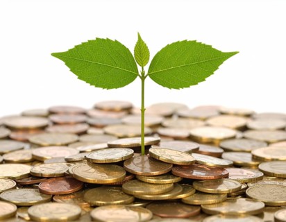 Coins with seedling eco saving concept image symbolizing financial growth, sustainable development,