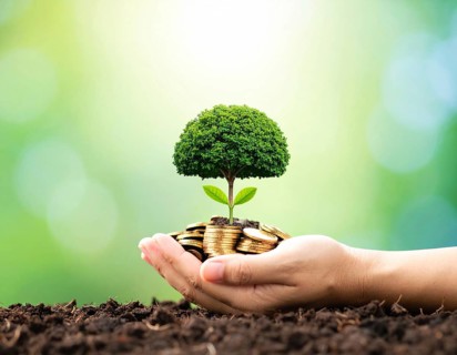 Coins with seedling eco saving concept image symbolizing financial growth, sustainable development,