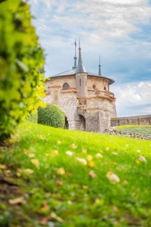 Charming turret on a green meadow in front of a slightly cloudy sky creates a romantic atmosphere,