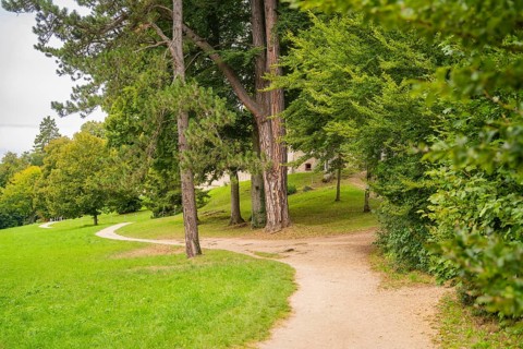 Winding path through a green park landscape with tall trees, Lichtenstein Castle, Lichtenstein,