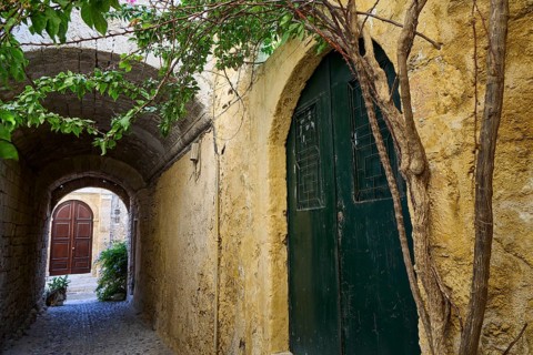 Narrow alley with stone walls and a greenish wooden door, enlivened by plants in a historic
