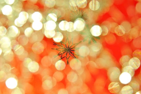Christmas decoration, home-made straw stars, Germany