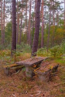 Photograph of a weathered seating area or resting place made of exposed aggregate concrete standing