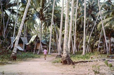 Traditional village houses in coconut palm trees, Malacca or Melaka, Malaya, Malaysia, south east