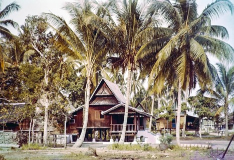 Traditional village houses in coconut palm trees, Malacca or Melaka, Malaya, Malaysia, south east