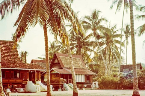 Traditional village houses in coconut palm trees, Malacca or Melaka, Malaya, Malaysia, south east