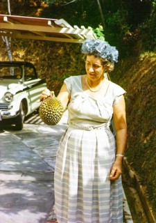 British expatriate woman holding a durian fruit, durio zibethinus, she is wearing smart clothing of