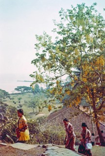 View over Coronation Park to coastline prior to land reclamation, Malacca or Melaka, Malaya,