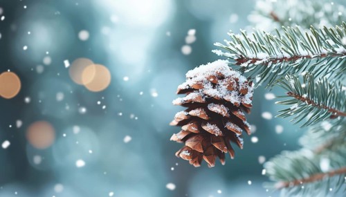 Festive Fir Branch Adorned With Pine Cone And Snowflakes For A Stunning Christmas Holiday