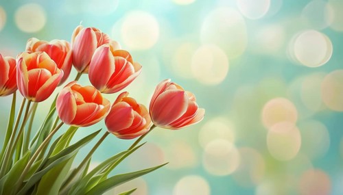 Celebrate Spring With Our Special Offer: Spring Season Sale Including Tulip Flowers! Perfect For