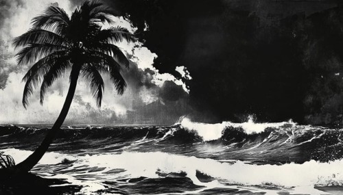 Vintage Music Poster: Monochrome Rockstar Coconut Palm Tree Wave Ocean Board Surf Summer In