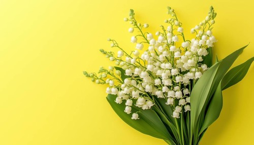 Lilies Of The Valley Bouquet: Beautiful Yellow Spring Web With Copy Space For Wedding, Birthday,