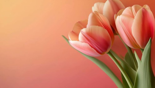 Realistic Tulips For Celebrating International Women'S Day: A Versatile Template For Posters,