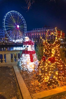 Luminous christmas decorations featuring a reindeer and a penguin stand by the nive river with a