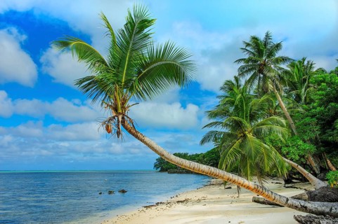 Lonely unspoilt palm beach in the South Seas South Sea dream beach with coconut palms (Cocos
