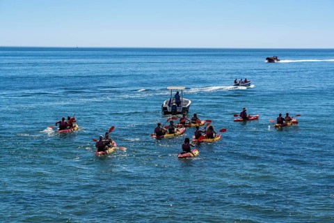 Kayak tours to the rocky coast of Ponta da Piedade, groups of tourists kayak on the sea to the