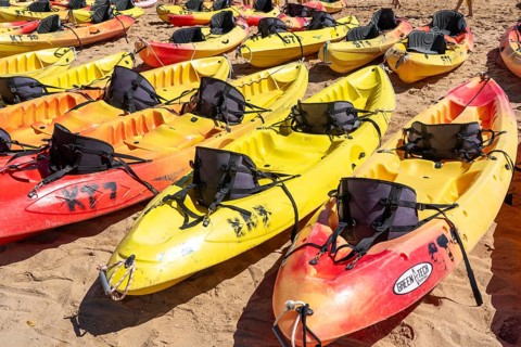 Kayak tours to the rocky coast of Ponta da Piedade, group tours in kayaks on the sea to the rugged