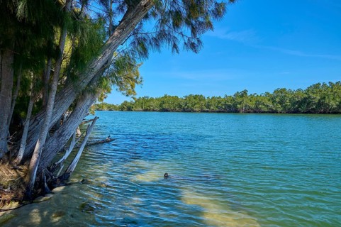 Clear river with trees standing on the bank and a swimmer in the water, Haulover Canal, Merritt