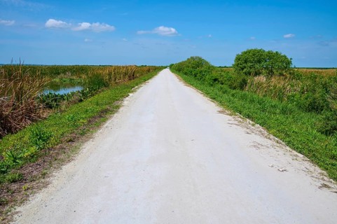 Straight, white gravel path between green vegetation under a clear blue sky, Lake Apopka North