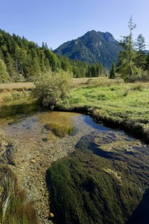 Ettaler Weidemoos, Graswang, Graswangtal, moss, wetland, Oberammergau, Catholic, Ammergau, Ammergau