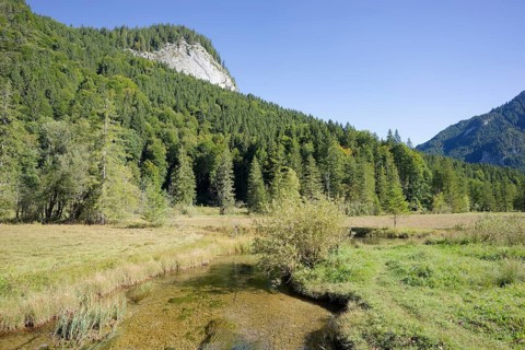 Ettaler Weidemoos, Graswang, Graswangtal, moss, wetland, Oberammergau, Catholic, Ammergau, Ammergau