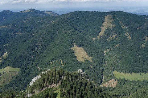 Mountain panorama seen from the Laber, Ammergau Alps, Ammergau, Oberammergau, mountains, Alps,