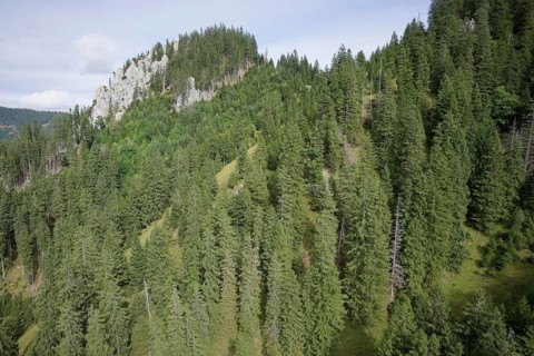 Ammergau Alps, Ammergau, Oberammergau, Laber, mountain, mountain hiking, hiking, mountains, Alps,