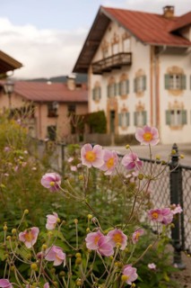 Summer garden in Oberammergau, Lüftlmalerei, Lüftlkunst, Bible, summer anemone, anemone, Ammergau,
