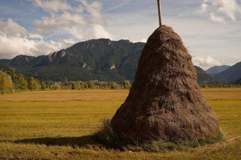 Traditional litter threshing floor in Pulvermoos between Oberammergau and Unterammergau, mountain