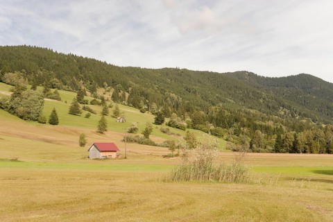 Pulvermoos between Oberammergau and Unterammergau, mountain hiking, hiking, moss, wetland biotope,