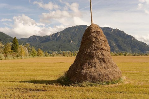 Traditional litter threshing floor in Pulvermoos between Oberammergau and Unterammergau, mountain