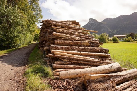 Wood pile by the wayside, renewable raw material, wood, Kofel, mountain, Oberammergau, Catholic,