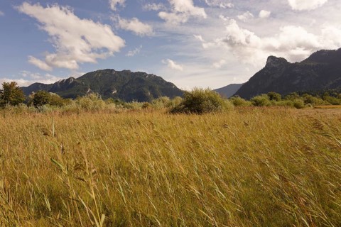 Pulvermoos between Oberammergau and Unterammergau with views of Kofel and Laber, mountain hiking,