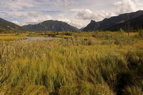 Pulvermoos between Oberammergau and Unterammergau with views of Kofel and Laber, mountain hiking,