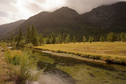 Ettaler Weidemoos, moss, wetland biotope, Oberammergau, Catholic, Ammergau, Ammergau Alps, Upper