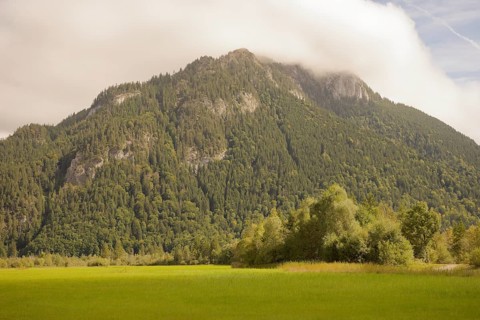Ettaler Weidemoos, moss, wetland biotope, Oberammergau, Catholic, Ammergau, Ammergau Alps, Upper