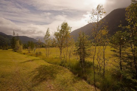 Ettaler Weidemoos, moss, wetland biotope, Oberammergau, Catholic, Ammergau, Ammergau Alps, Upper