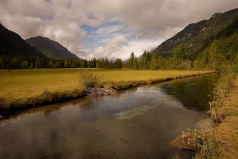 Ettaler Weidemoos, moss, wetland biotope, Oberammergau, Catholic, Ammergau, Ammergau Alps, Upper